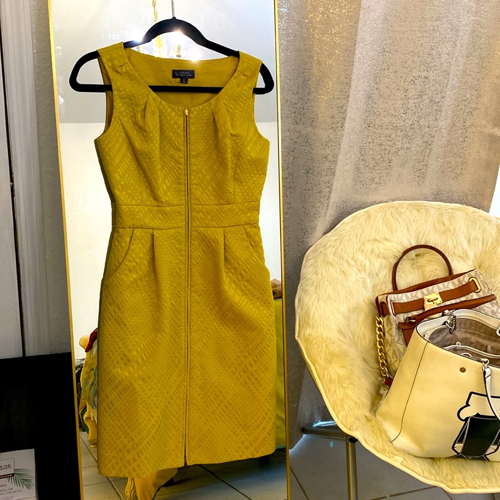 Gorgeous Tahari Arthur Levine vintage dress